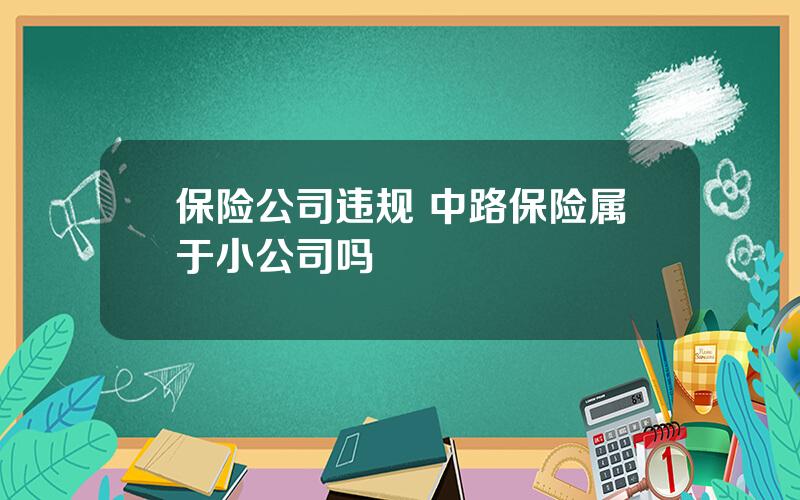 保险公司违规 中路保险属于小公司吗